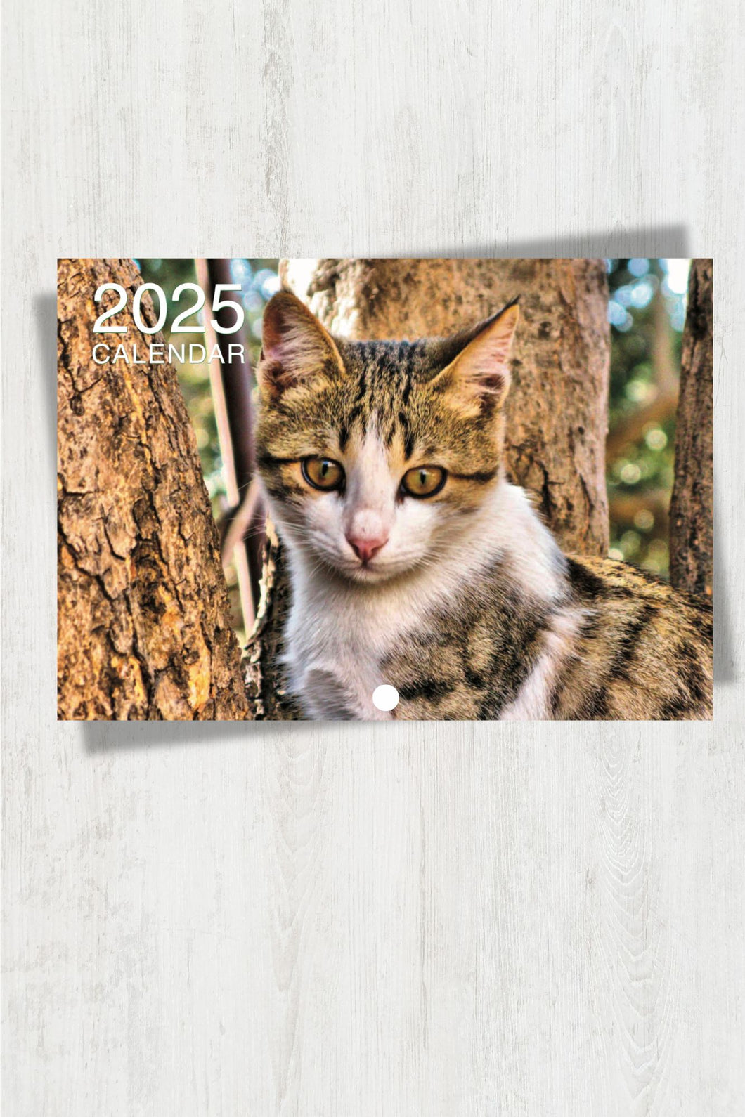 Meow! Cat Lovers! Calendar